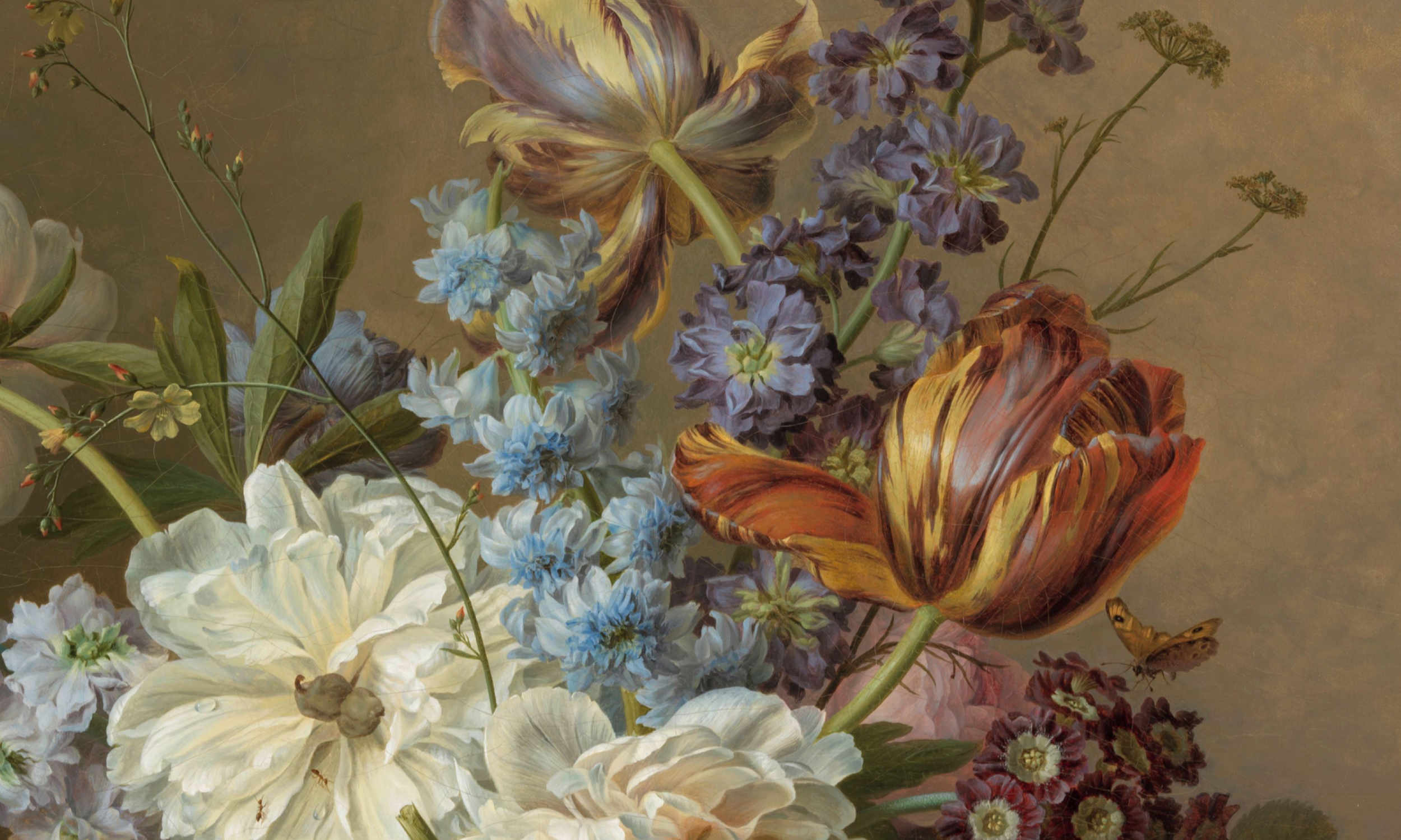 The Cultural History of the Tulip | Online Course — Travel